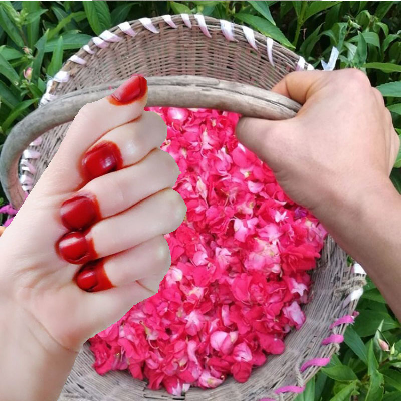 40g Henna Nagel Farbstoff Pulv – Nail Art Red Bewertung und Preis